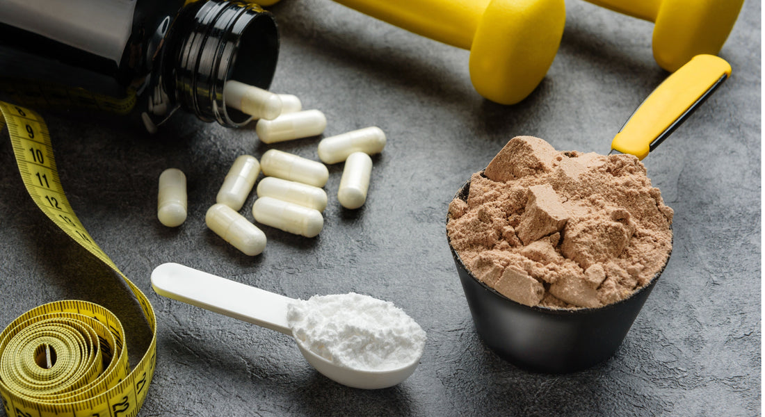 Creatine and Its Role in Metabolism and Muscle Development in Athletes